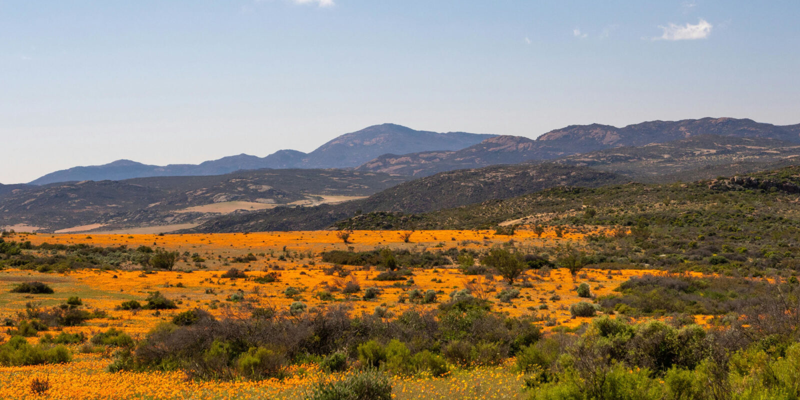 Online Business Directory in Northern Cape